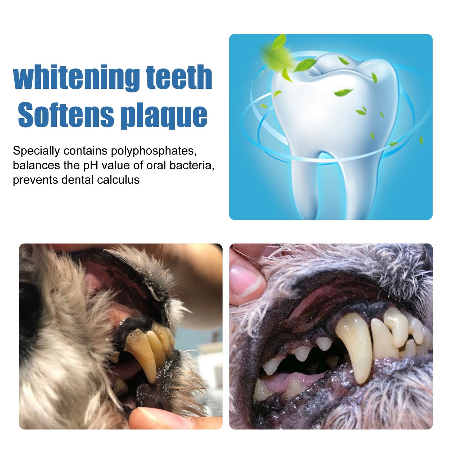 Pet Tartar Remover for Dental Care