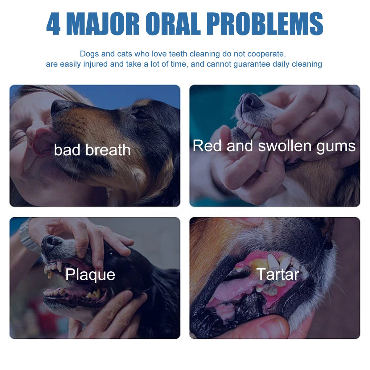 Pet Tartar Remover for Dental Care