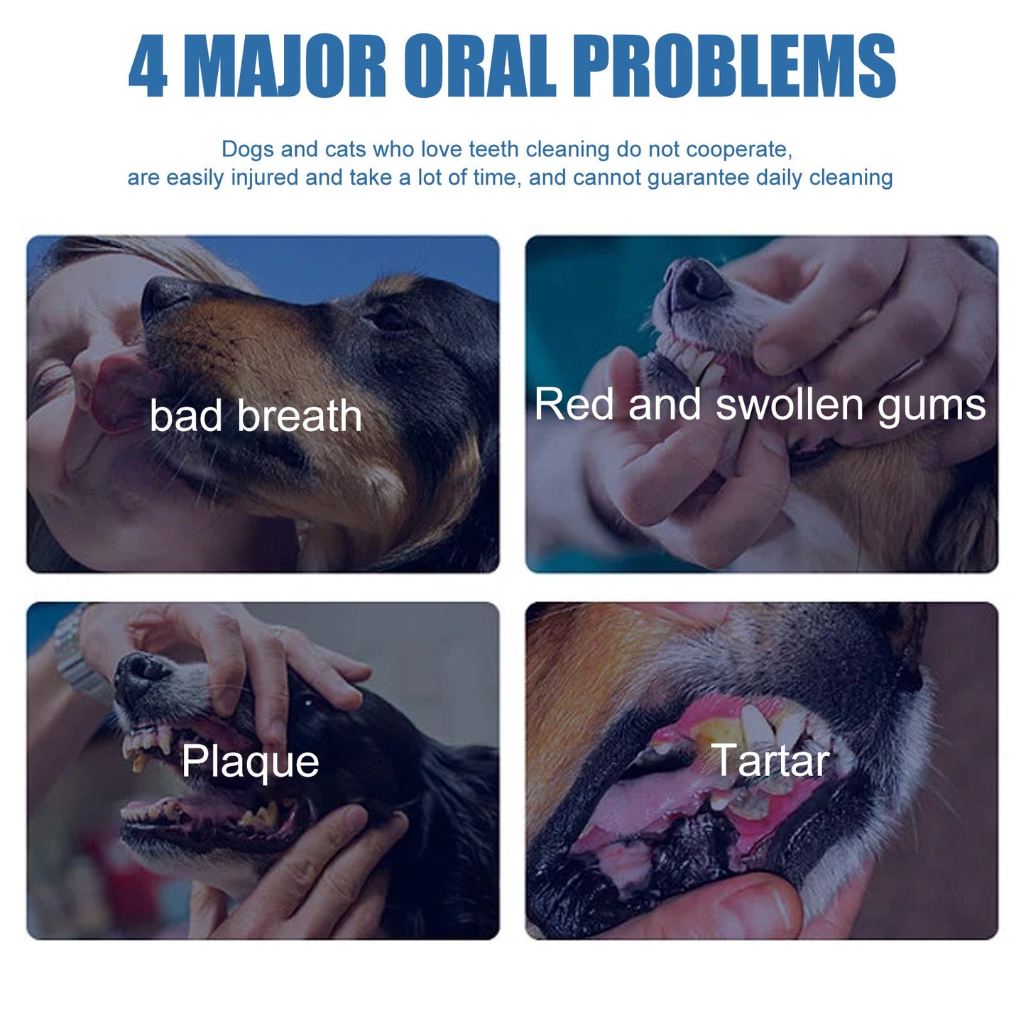 Pet Tartar Remover for Dental Care